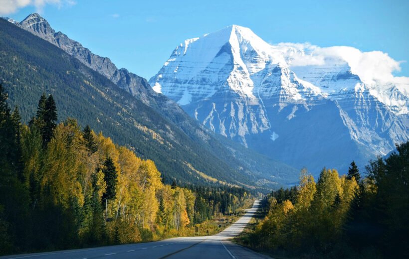 Separated they live in Bookmarksgrove