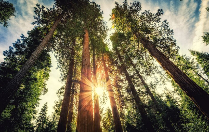 Even the all-powerful Pointing